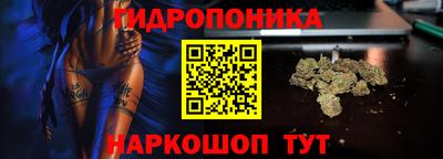 Альфа ПВП Пугачёв