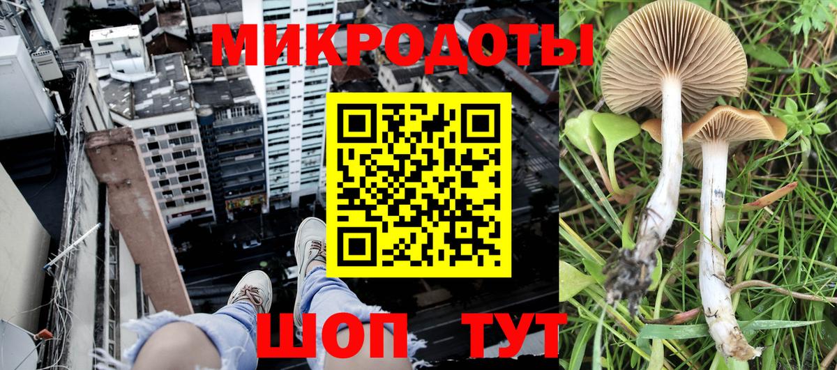 Псилоцибиновые грибы Magic Shrooms  Вход с VPN  Саяногорск 